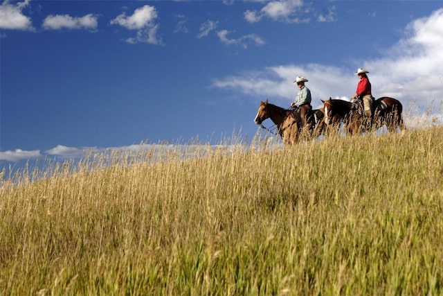 41455 Marabou Loop, Steamboat Springs, CO 80487