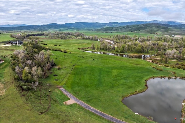 41455 Marabou Loop, Steamboat Springs, CO 80487