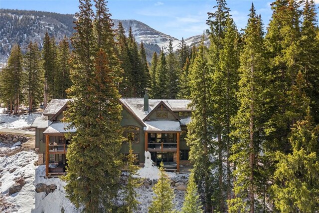 50 Cooney Ct, Blue River, CO 80424 - view of mountain backdrop with a heavily wooded area