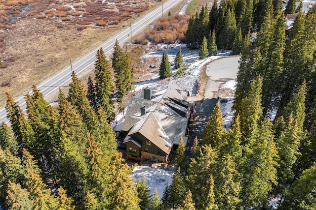 50 Cooney Ct, Blue River, CO 80424 - view of subject property