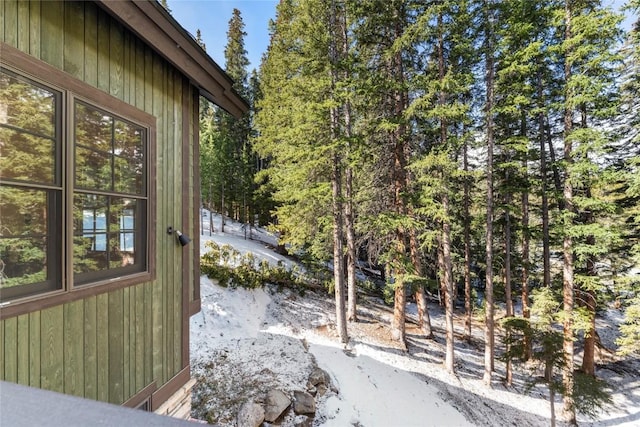 50 Cooney Ct, Blue River, CO 80424 - view of yard