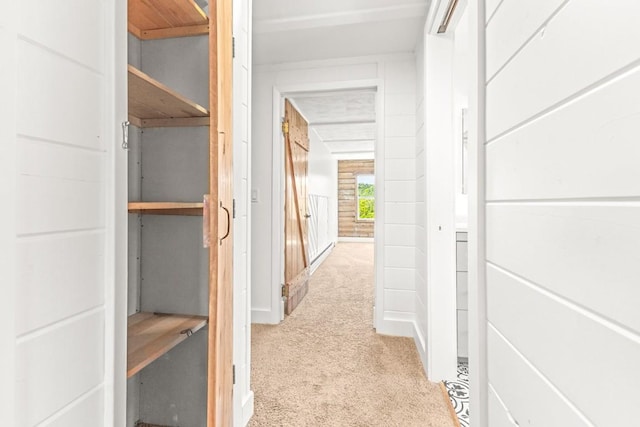 30955 Whitecotton Ct, Steamboat Springs, CO 80487 - corridor featuring light carpet