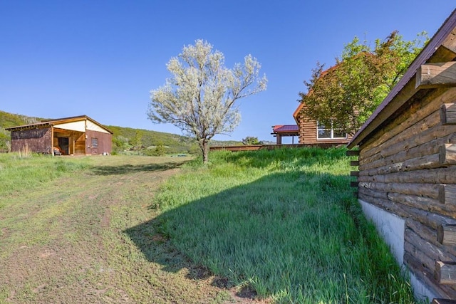 30955 Whitecotton Ct, Steamboat Springs, CO 80487 - view of yard