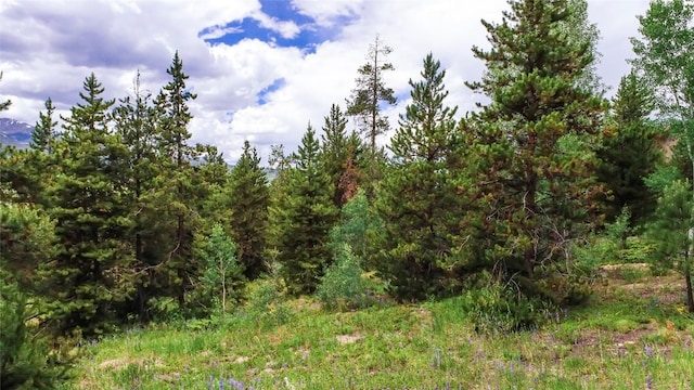 277 G Rd, Silverthorne, CO 80498 - view of nature