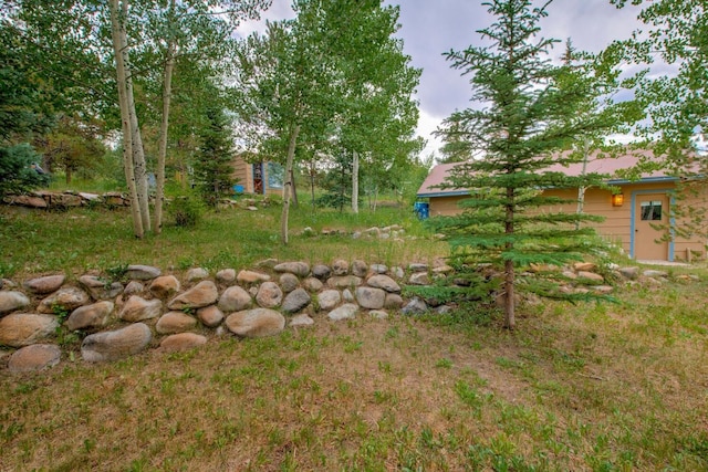 277 G Rd, Silverthorne, CO 80498 - view of yard