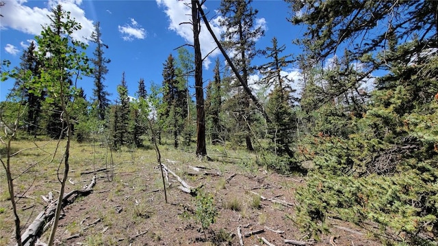 943 Bear Ln, Como, CO 80432