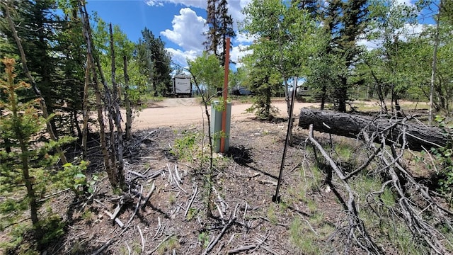 943 Bear Ln, Como, CO 80432