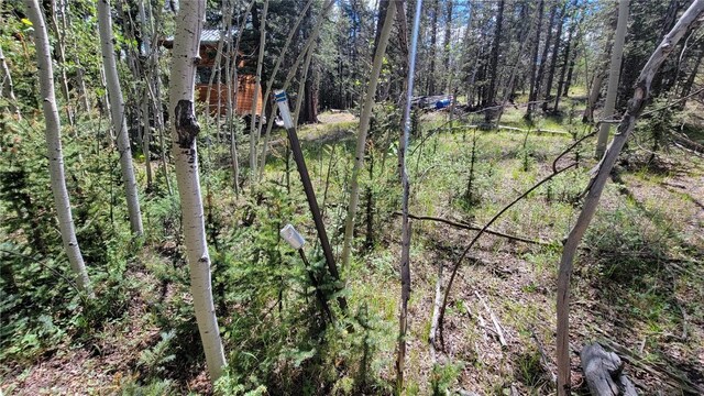 943 Bear Ln, Como, CO 80432