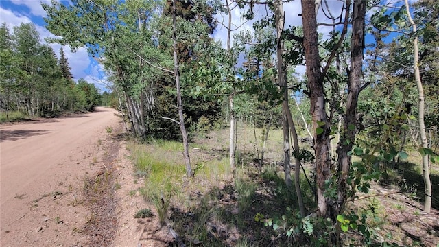943 Bear Ln, Como, CO 80432