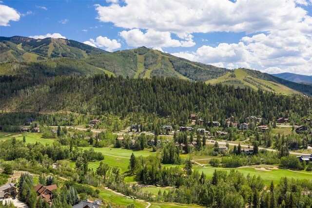 1064 Steamboat Blvd, Steamboat Springs, CO 80487 - mountain view