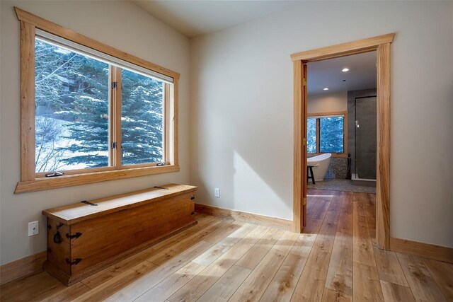 1064 Steamboat Blvd, Steamboat Springs, CO 80487 - empty room with light wood finished floors, plenty of natural light, baseboards, and recessed lighting