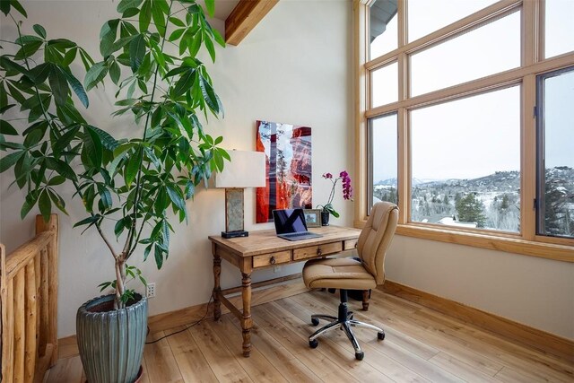 1064 Steamboat Blvd, Steamboat Springs, CO 80487 - office area with light wood-type flooring, plenty of natural light, and baseboards