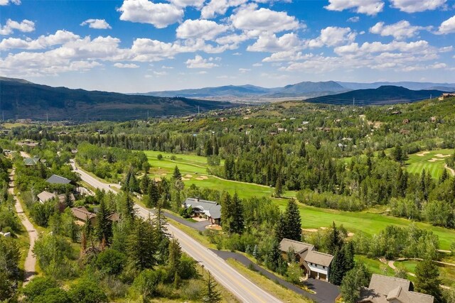 1064 Steamboat Blvd, Steamboat Springs, CO 80487 - aerial view featuring a forest view and a mountain view
