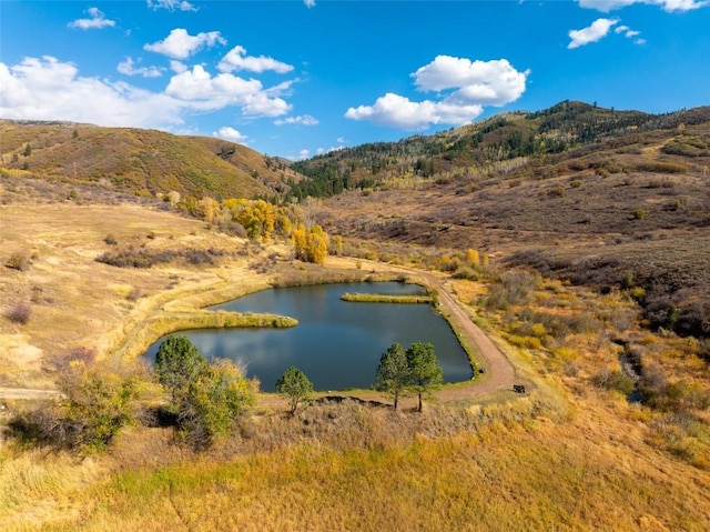 water view featuring a mountain view