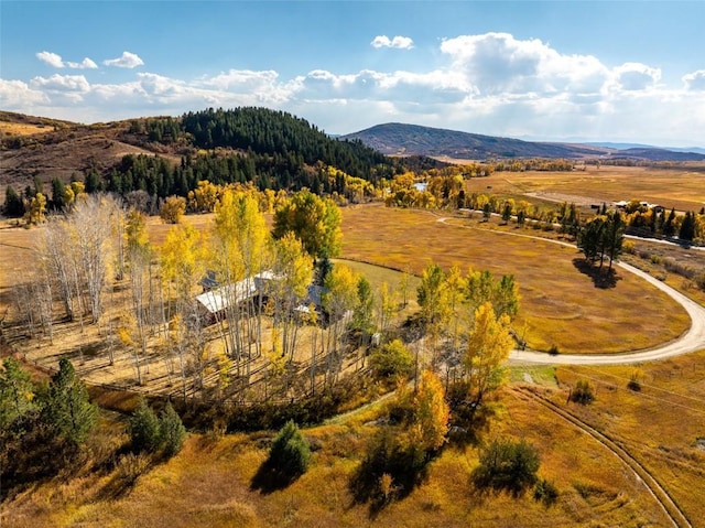 bird's eye view featuring a mountain view and a rural view