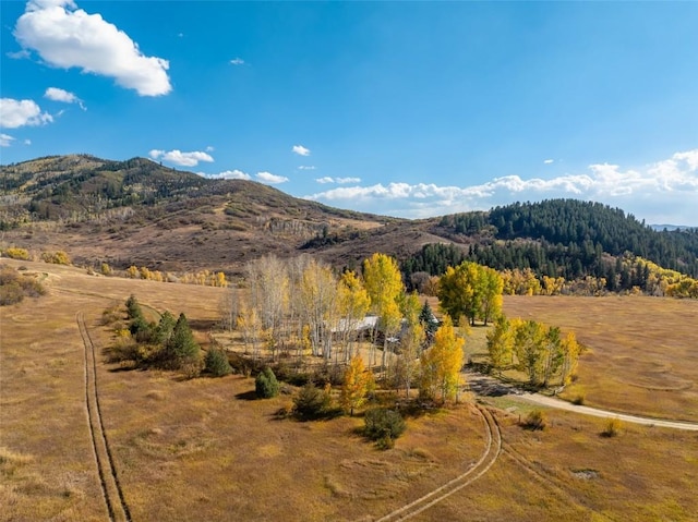 view of mountain feature featuring a rural view