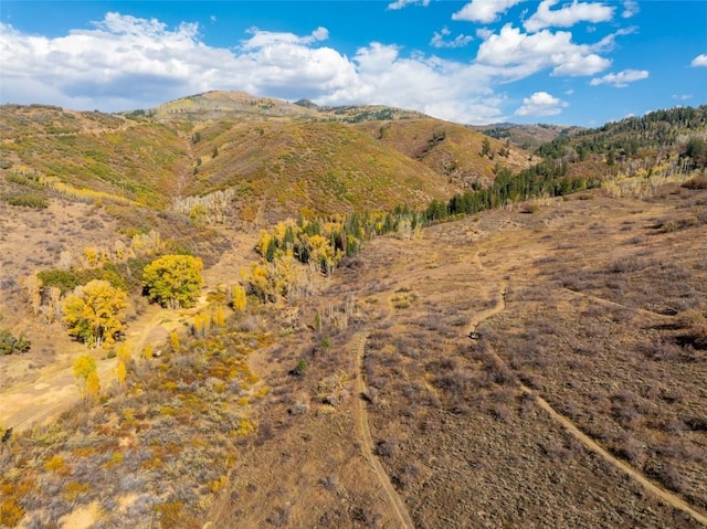 property view of mountains