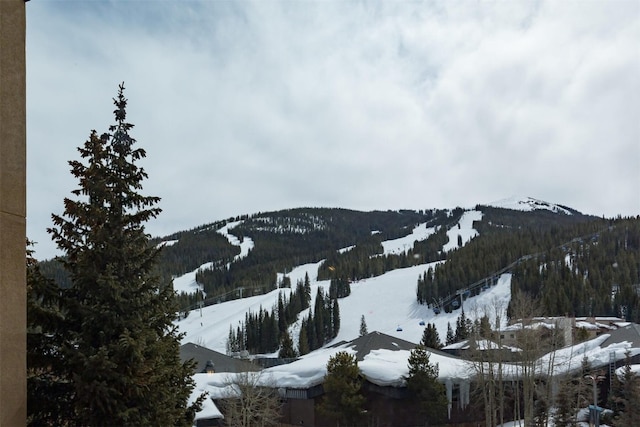 45 Beeler Pl Unit 301, Copper Mountain, CO 80443 - mountain view with a heavily wooded area