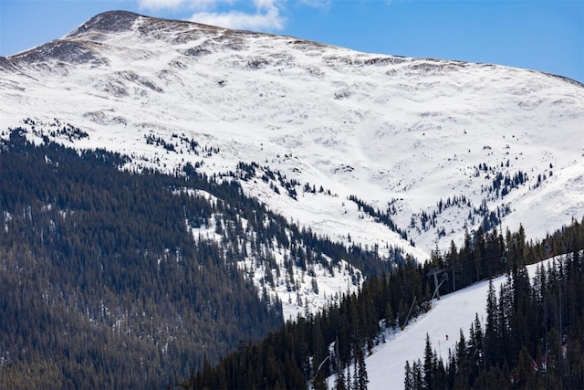 45 Beeler Pl Unit 301, Copper Mountain, CO 80443 - mountain view featuring a forest