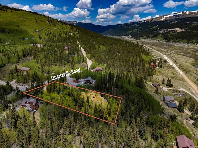 522 Quartzville Rd, Alma, CO 80420 - photo 2