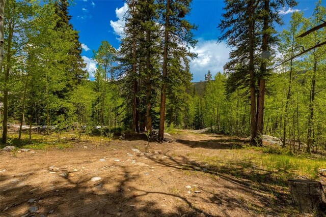 522 Quartzville Rd, Alma, CO 80420 - photo 31