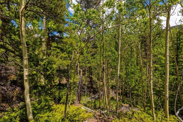 522 Quartzville Rd, Alma, CO 80420 - photo 39