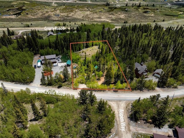 522 Quartzville Rd, Alma, CO 80420 - photo 47