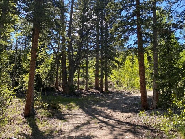 522 Quartzville Rd, Alma, CO 80420 - photo 26