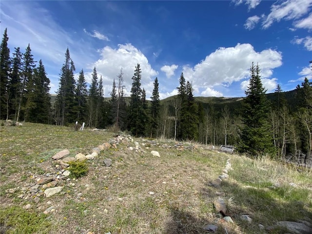 522 Quartzville Rd, Alma, CO 80420 - photo 16