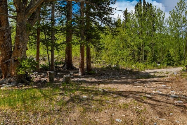 522 Quartzville Rd, Alma, CO 80420 - photo 42