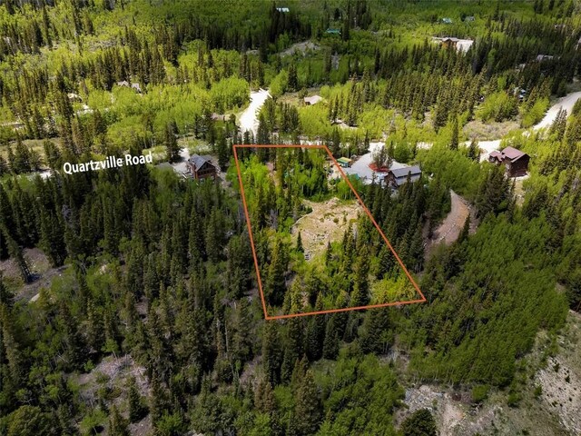 522 Quartzville Rd, Alma, CO 80420 - photo 50