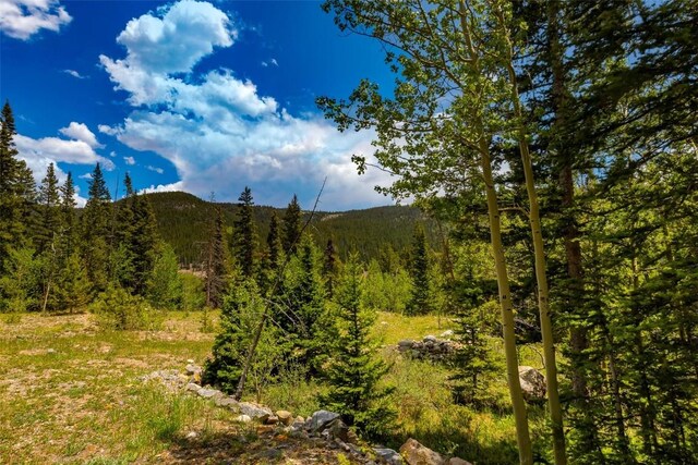 522 Quartzville Rd, Alma, CO 80420 - photo 3
