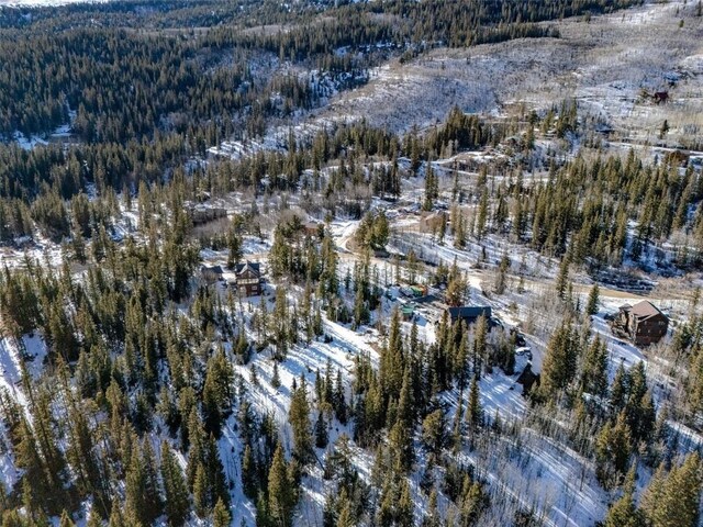 522 Quartzville Rd, Alma, CO 80420 - photo 12