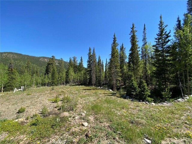 522 Quartzville Rd, Alma, CO 80420 - photo 4