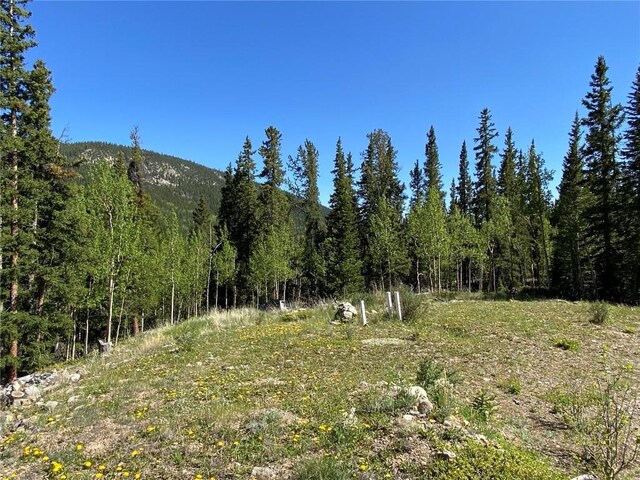 522 Quartzville Rd, Alma, CO 80420 - photo 10