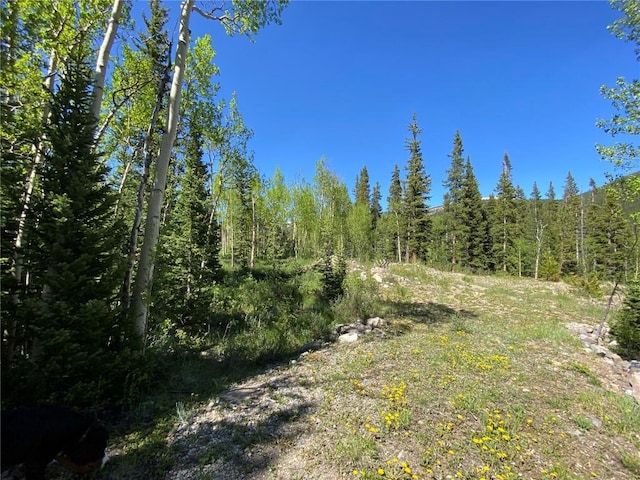 522 Quartzville Rd, Alma, CO 80420 - photo 17