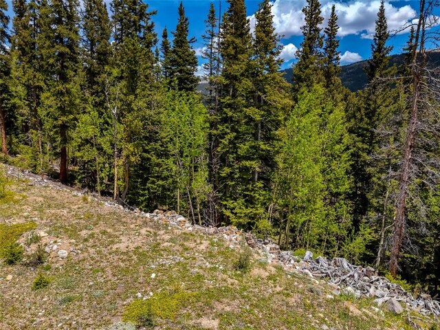 522 Quartzville Rd, Alma, CO 80420 - photo 44
