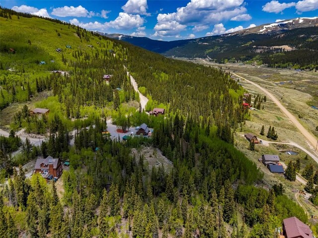 522 Quartzville Rd, Alma, CO 80420 - photo 49