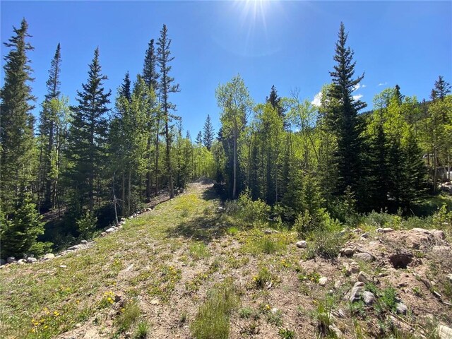 522 Quartzville Rd, Alma, CO 80420 - photo 6