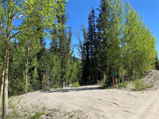 522 Quartzville Rd, Alma, CO 80420 - photo 21
