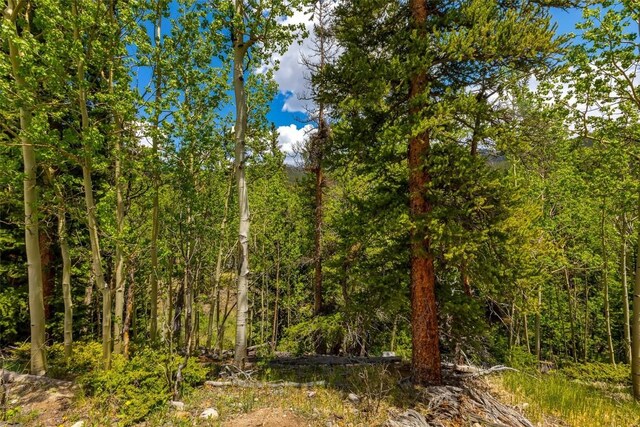 522 Quartzville Rd, Alma, CO 80420 - photo 40