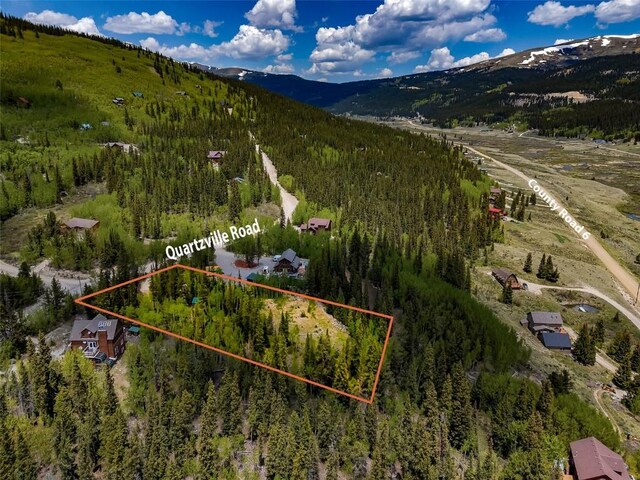 522 Quartzville Rd, Alma, CO 80420 - photo 48
