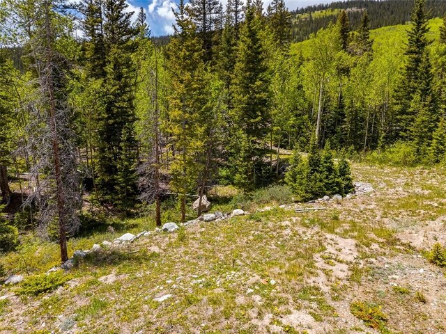 522 Quartzville Rd, Alma, CO 80420 - photo 45