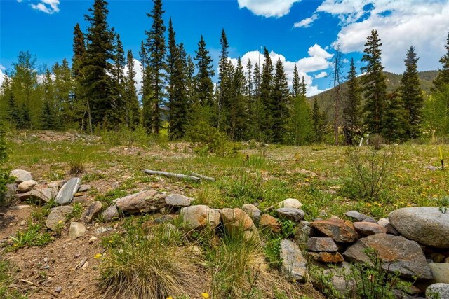 522 Quartzville Rd, Alma, CO 80420 - photo 8
