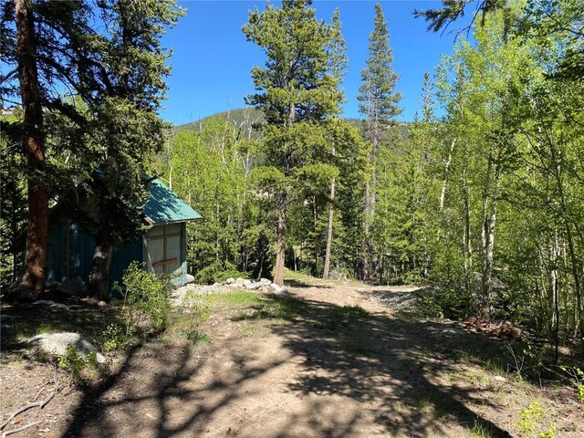 522 Quartzville Rd, Alma, CO 80420 - photo 23