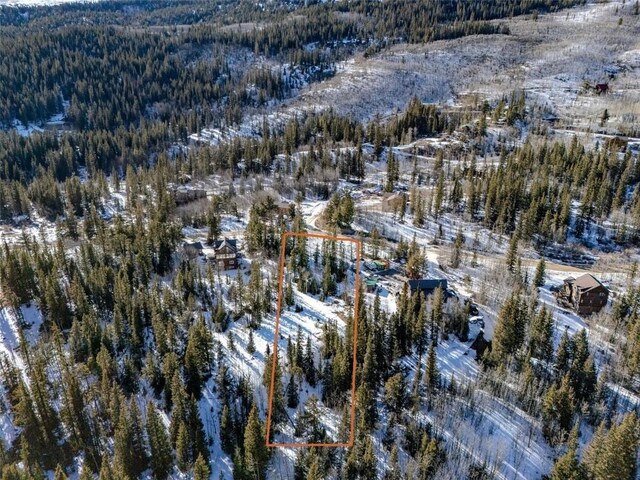 522 Quartzville Rd, Alma, CO 80420 - photo 13
