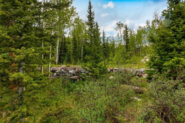 522 Quartzville Rd, Alma, CO 80420 - photo 34