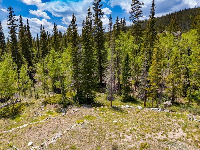 522 Quartzville Rd, Alma, CO 80420 - photo 43