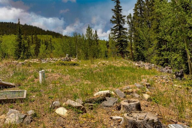 522 Quartzville Rd, Alma, CO 80420 - photo 35