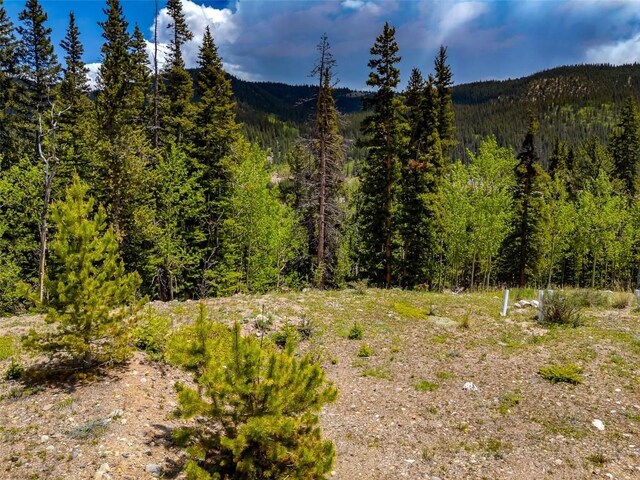 522 Quartzville Rd, Alma, CO 80420 - photo 46